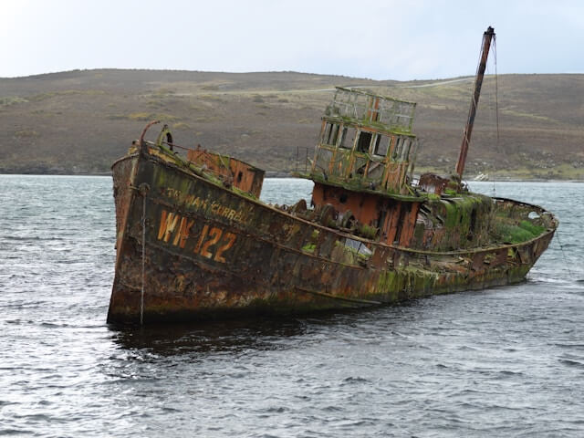 Remote Chatham Islands