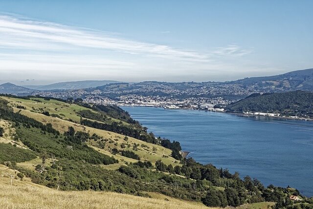 Otago Peninsula